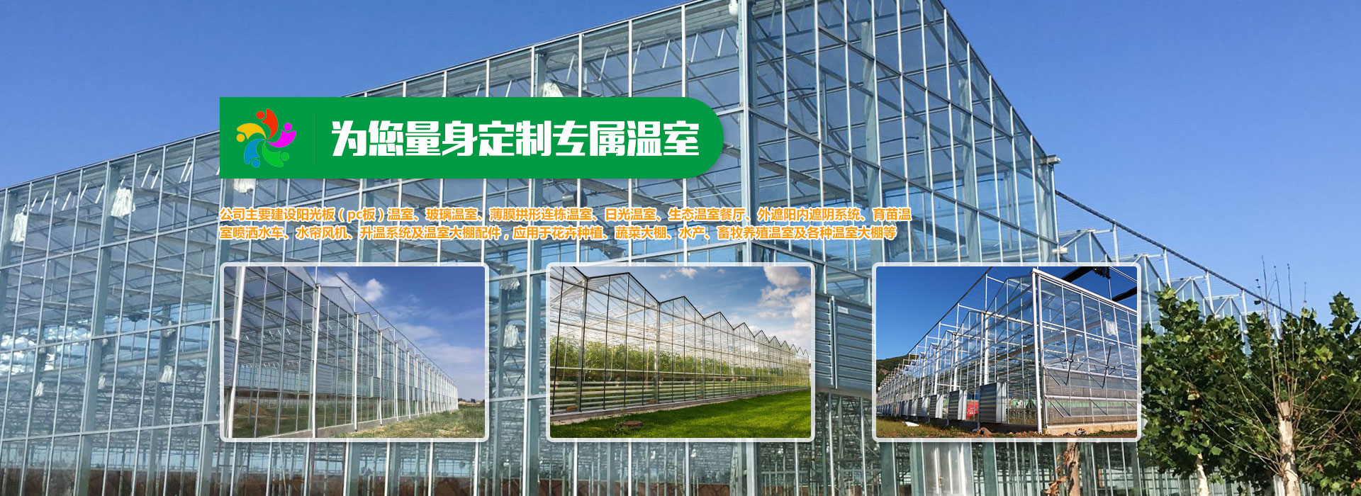 泰安市双龙线路器材有限公司